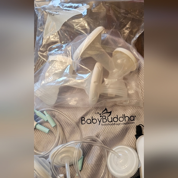 Baby Buddha - Picture 7 of 11